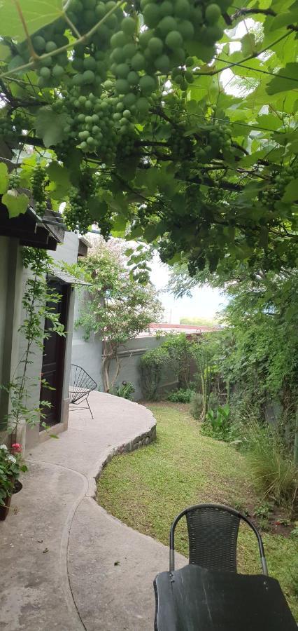 Los Tarcos Guest House Сан Салвадор де Хухуй Екстериор снимка