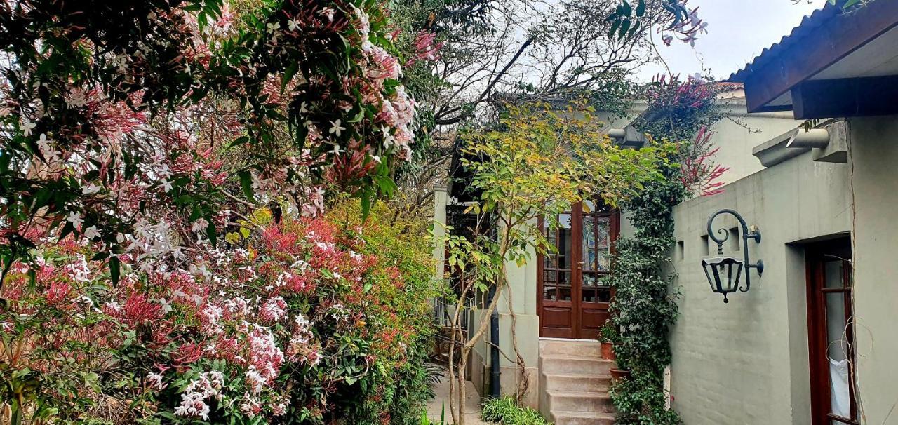 Los Tarcos Guest House Сан Салвадор де Хухуй Екстериор снимка